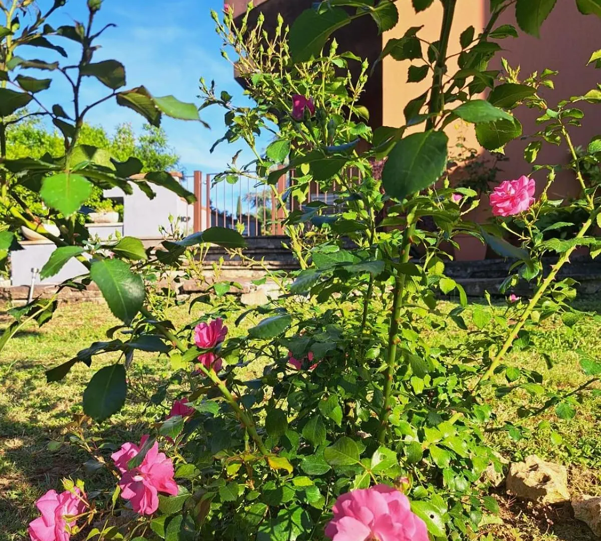 La Villetta Dei Nonni Colle Val D'Elsa Włochy